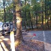 Review photo of Vogel State Park Campground by Glenda , November 2, 2021