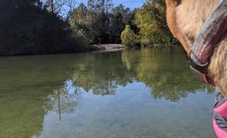 Laura F.'s photo of camping with pets at Blanco State Park Campground near Fredericksburg, TX