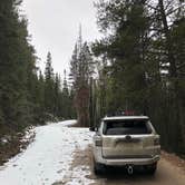 Review photo of Stevens Gulch Road Primitive by Tristan M., November 3, 2021