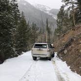 Review photo of Stevens Gulch Road Primitive by Tristan M., November 3, 2021