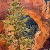 Review photo of Sunset Campground — Bryce Canyon National Park by LoneCamper C., November 3, 2021