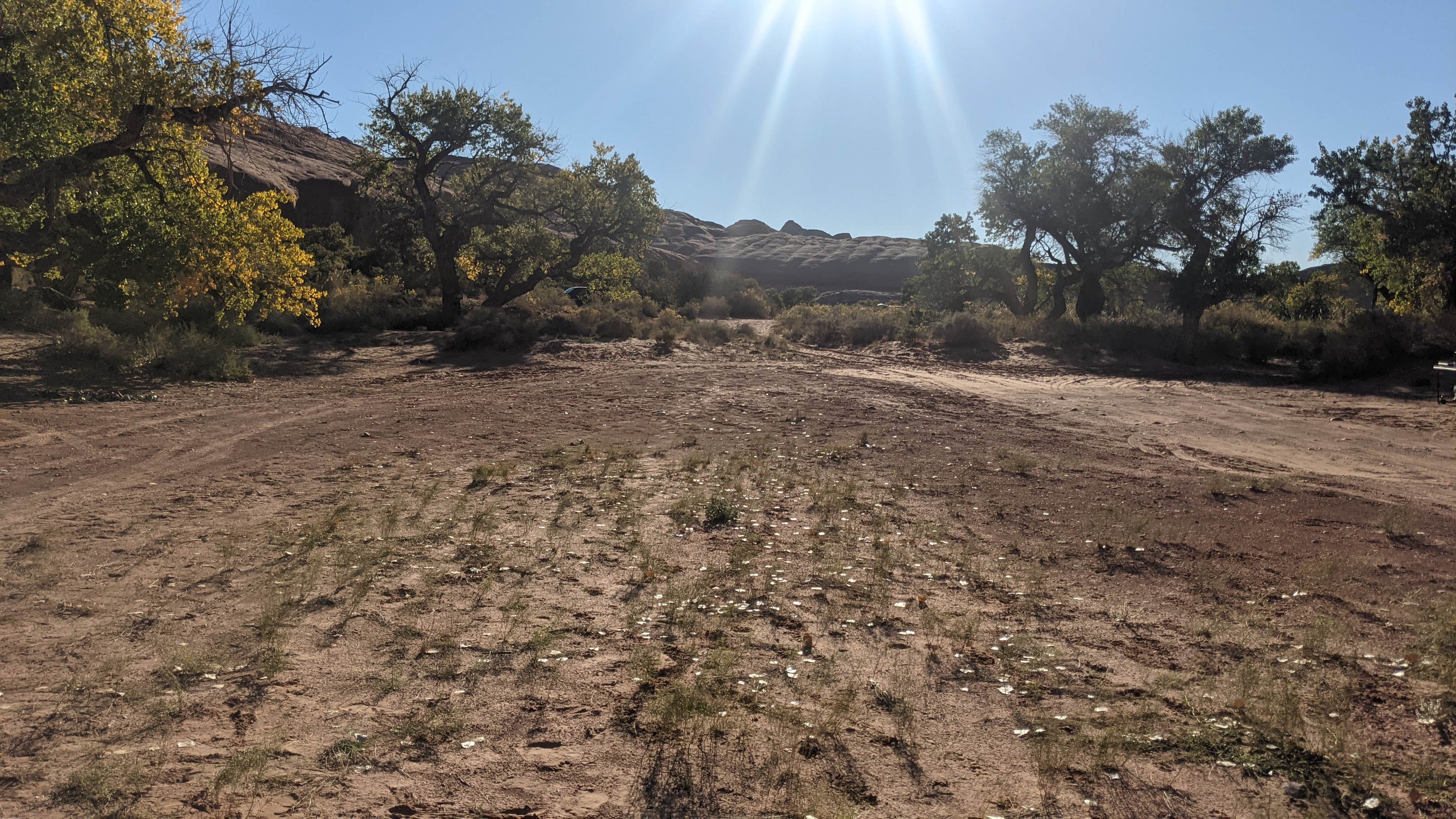 Camping near Blue Notch Canyon Primitive — Glen Canyon National Recreation Area: North Wash - Dispersed Area, Eggnog, Utah