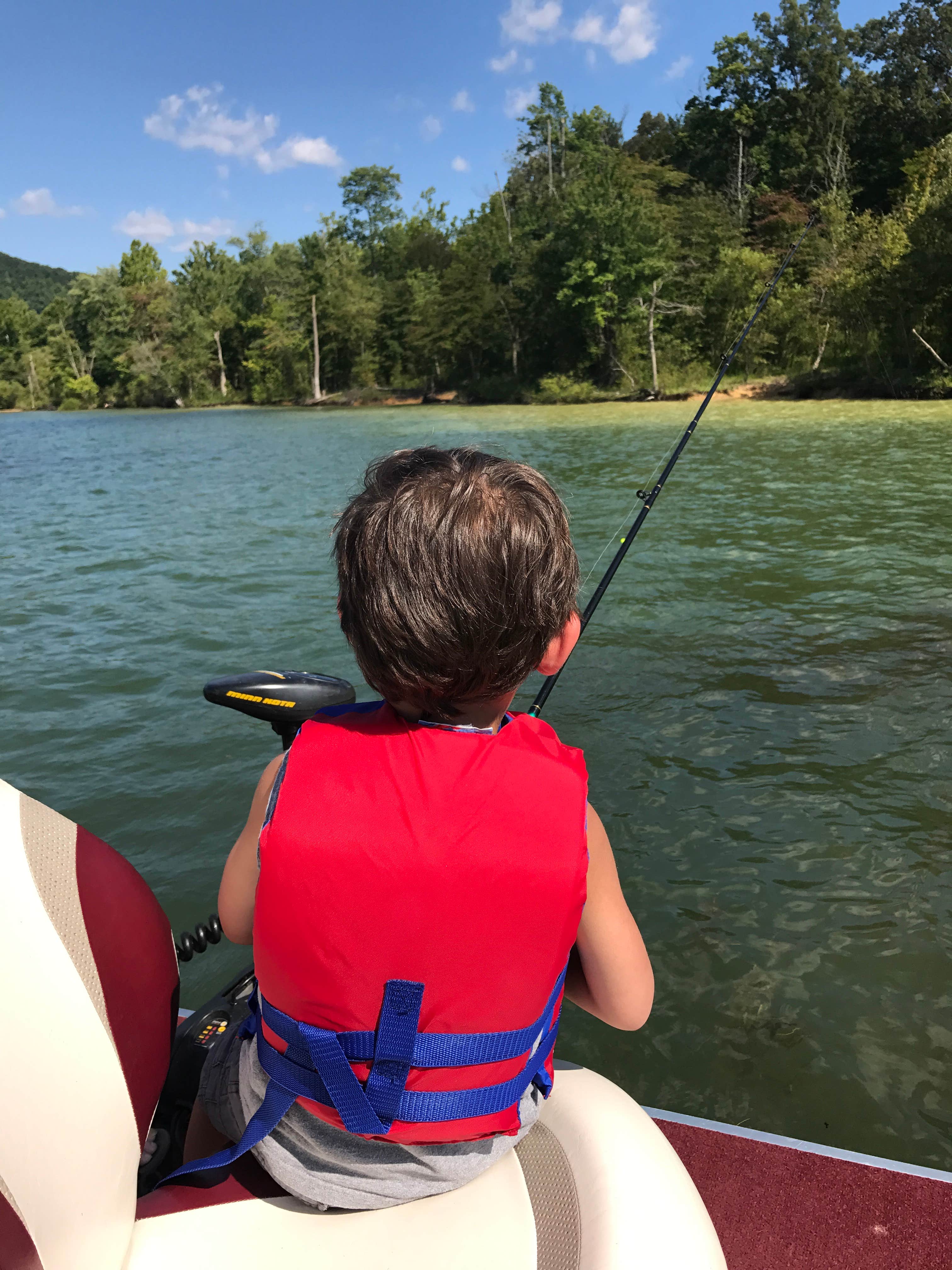 Twin Knobs Recreation Area Camping | Morehead, KY