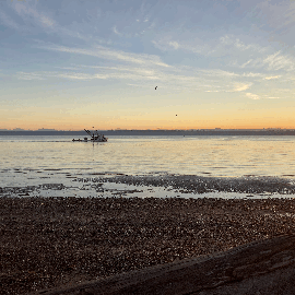 Fishermen were trolling back and forth in front of the beach in the morning. Sunrise views with Mt. Rainer and Seattle are not to be missed.