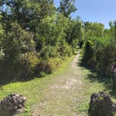 Review photo of Collier-Seminole State Park by Mark T., November 3, 2021