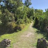 Review photo of Collier–Seminole State Park Campground by Mark T., November 3, 2021