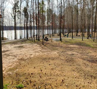 Camper-submitted photo from Cypress Black Bayou Recreation Area