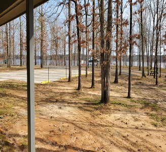 Camper-submitted photo from Cypress Black Bayou Recreation Area