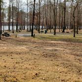 Review photo of Cypress Black Bayou Recreation Area by Marty T., November 3, 2021