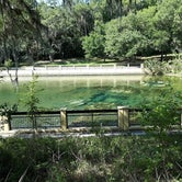 Review photo of Salt Springs Recreation Area by Rishi  B., November 3, 2021