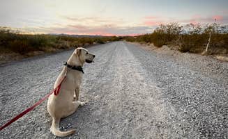Lee M.'s photo of camping with pets at Leasburg Dam State Park Campground near Hatch, NM
