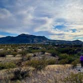 Review photo of Leasburg Dam State Park Campground by Lee M., November 3, 2021