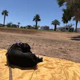 Review photo of Arizona Oasis RV Resort by Julie A., July 6, 2018