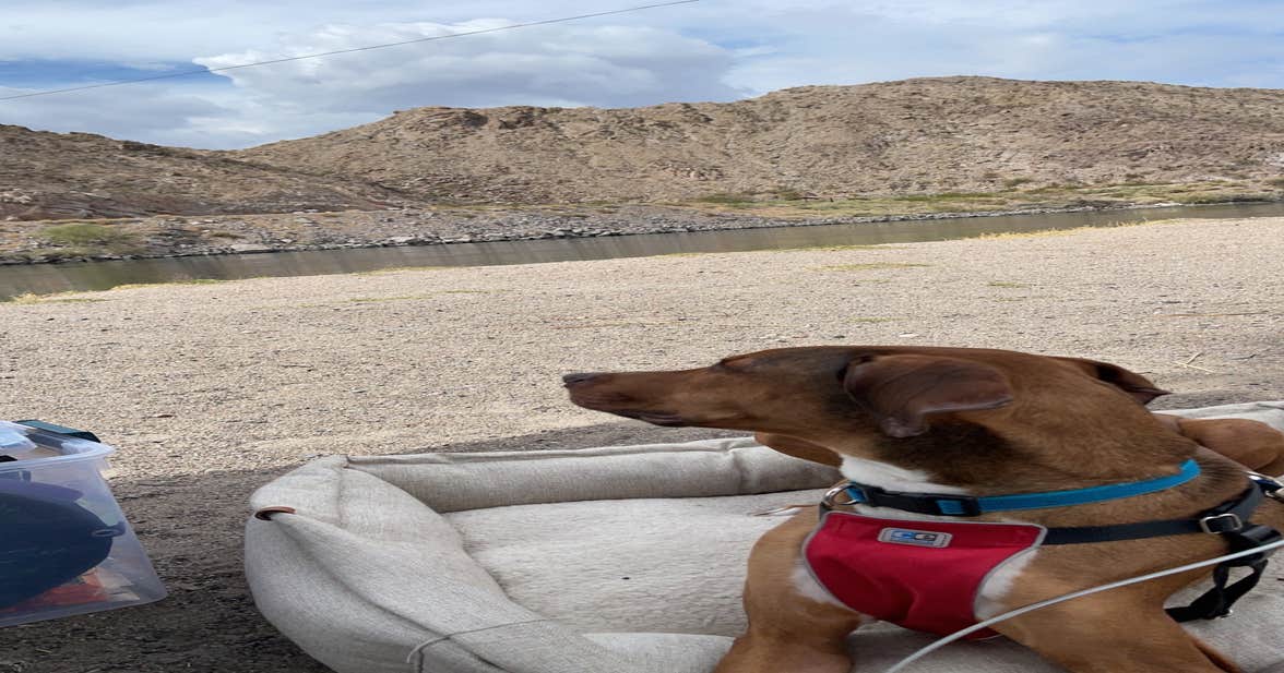Davis Dam Camp