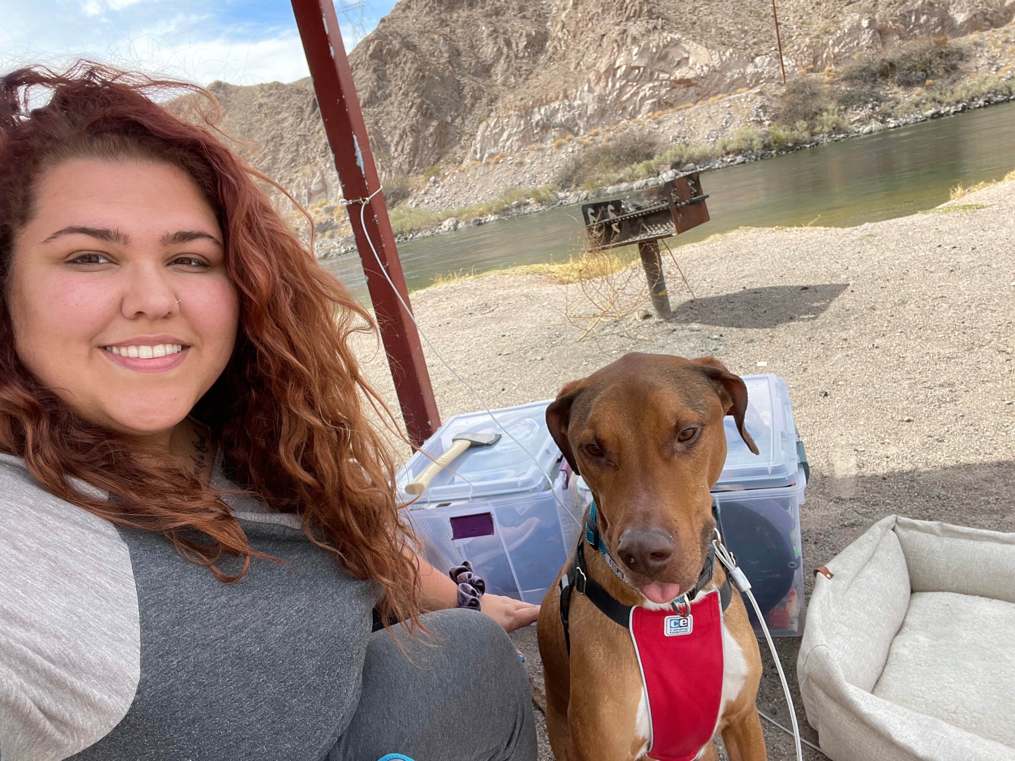 Camper-submitted photo at Davis Dam Camp near Laughlin, NV
