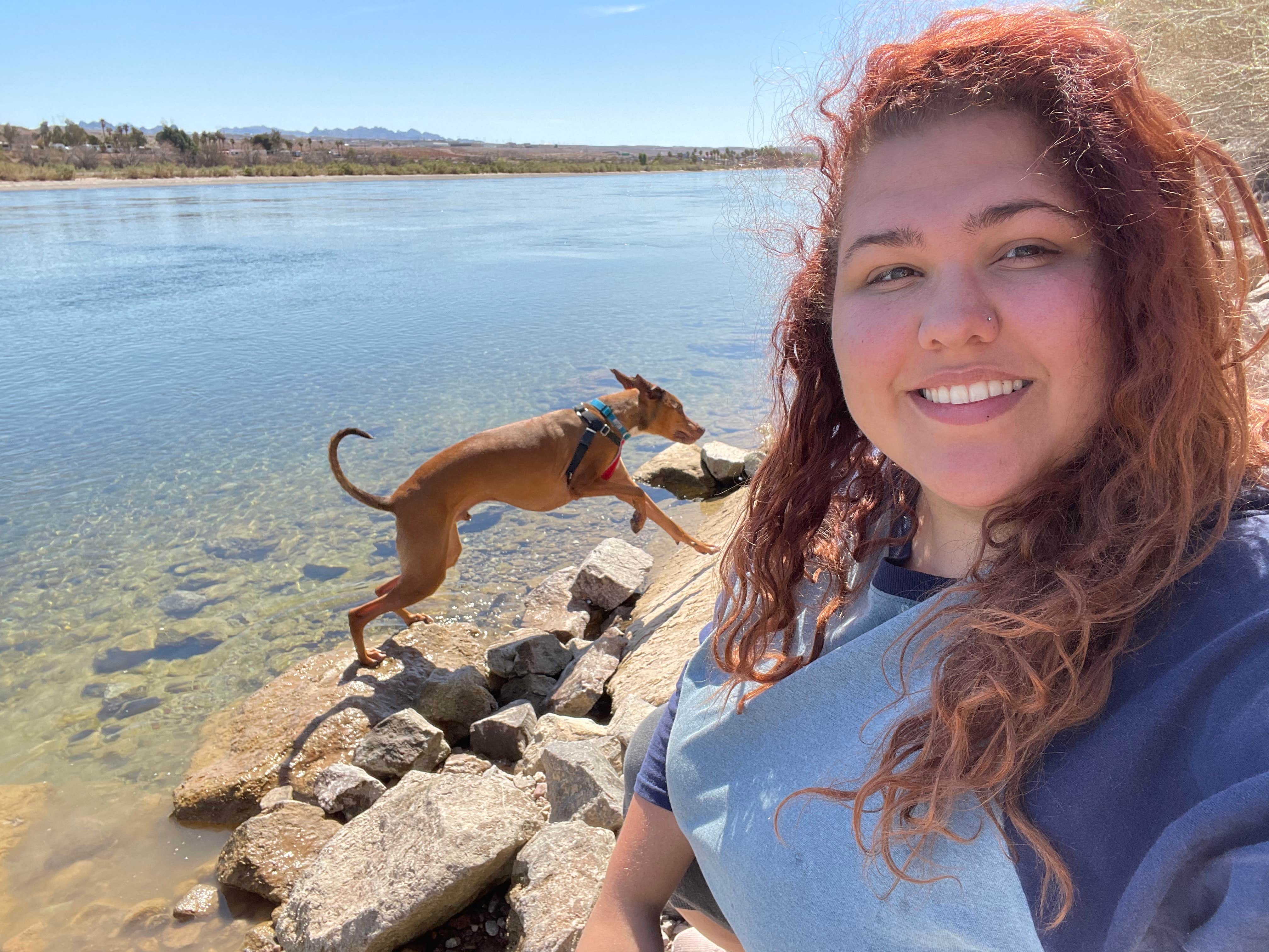 Camper-submitted photo at Davis Dam Camp near Laughlin, NV
