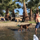 Review photo of Arizona Oasis RV Resort by Julie A., July 6, 2018