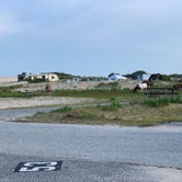 Review photo of Assateague State Park Campground by Simon S., November 2, 2021