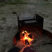 Review photo of Assateague State Park Campground by Simon S., November 2, 2021