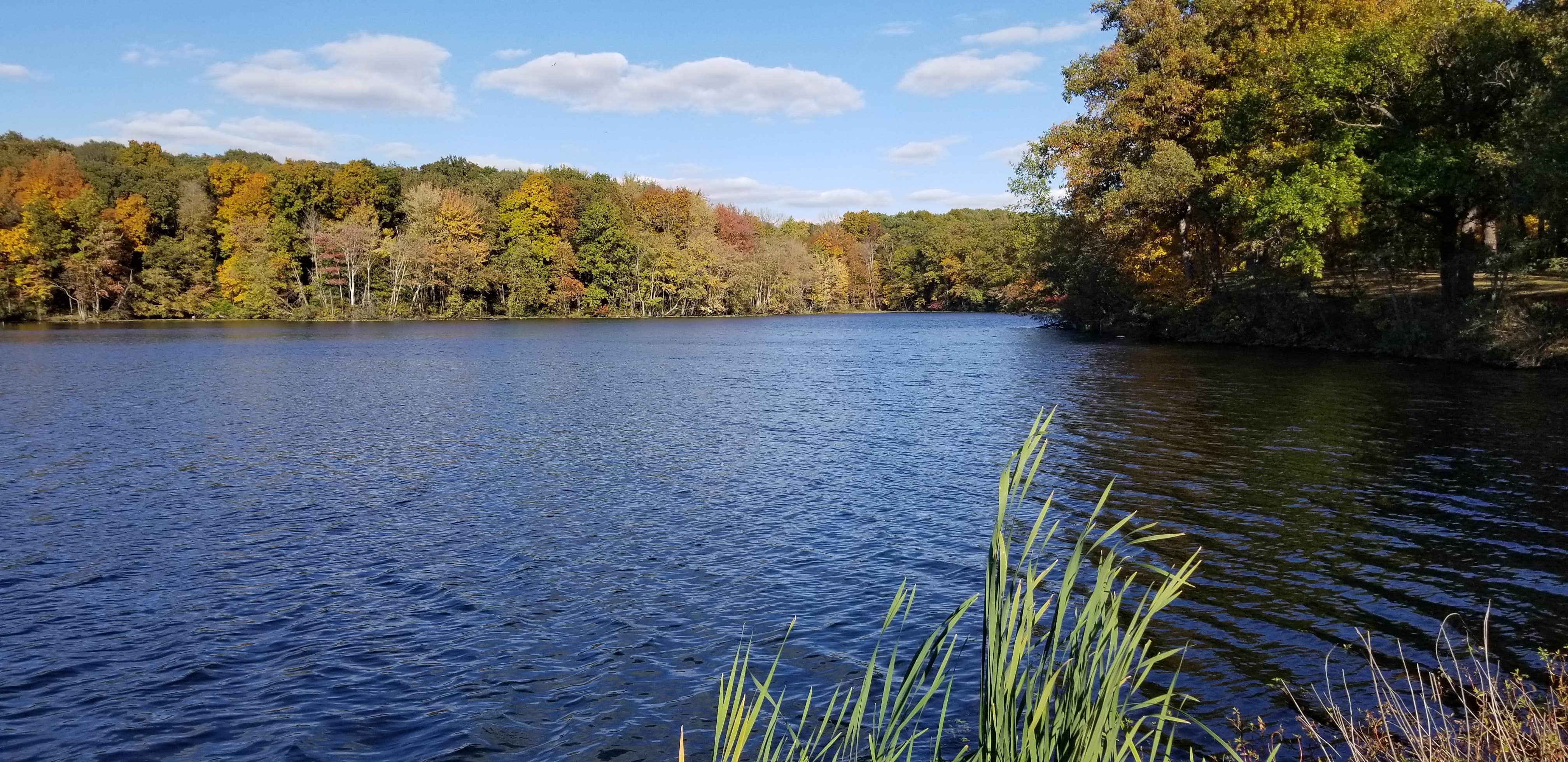 Camper-submitted photo at Red Hills Lake State Park — Red Hills State Park near Newton, IL