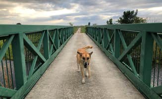 Andrew's photo of camping with pets at Torry Island Campground near Delray Beach, FL