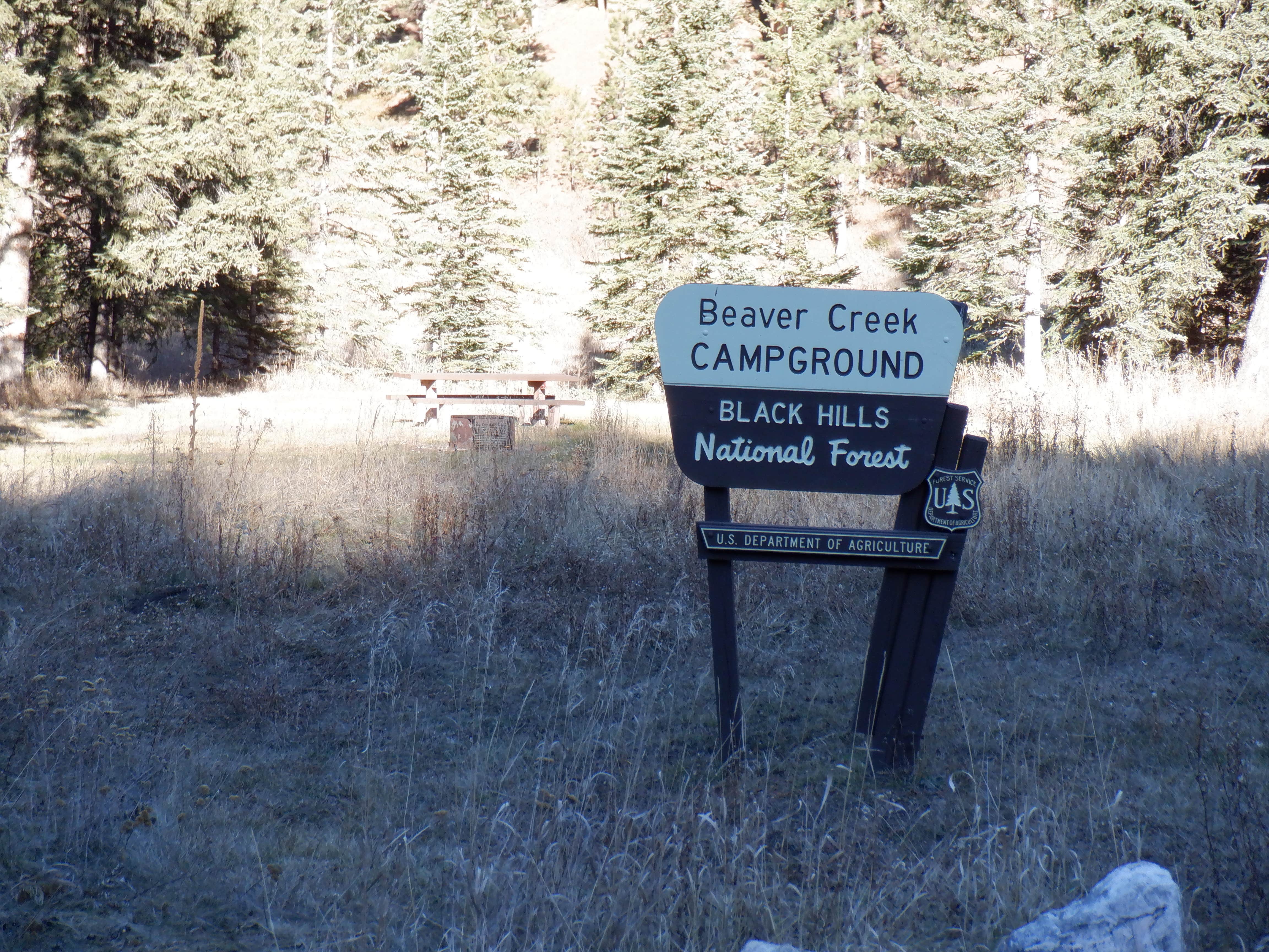 Camper-submitted photo at Beaver Creek near Newcastle, WY