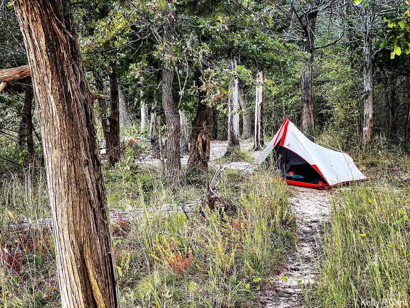 Camper submitted image from Cross Timbers Texoma Hiking Trail Primitive Campsite - 1