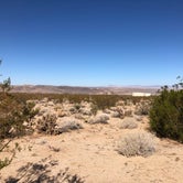 Review photo of Indian Cove Campground — Joshua Tree National Park by Marc , November 4, 2021