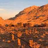 Review photo of South Temple Wash Campground by Adrian W., November 4, 2021