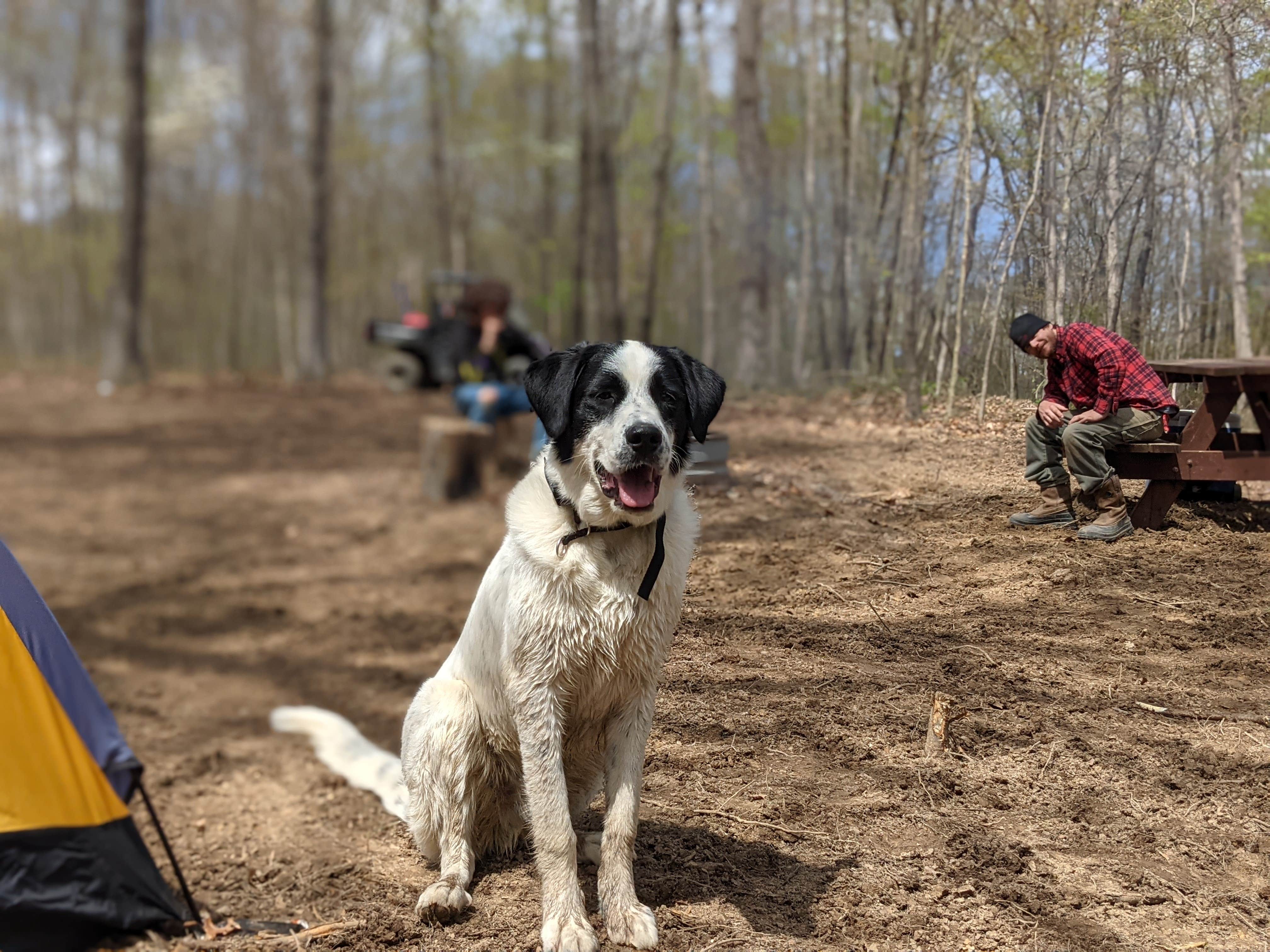 Camper-submitted photo at Benton's on the Baileys near Logan, OH