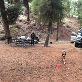 Review photo of Williams Lake Campground by Matthew F., November 5, 2021