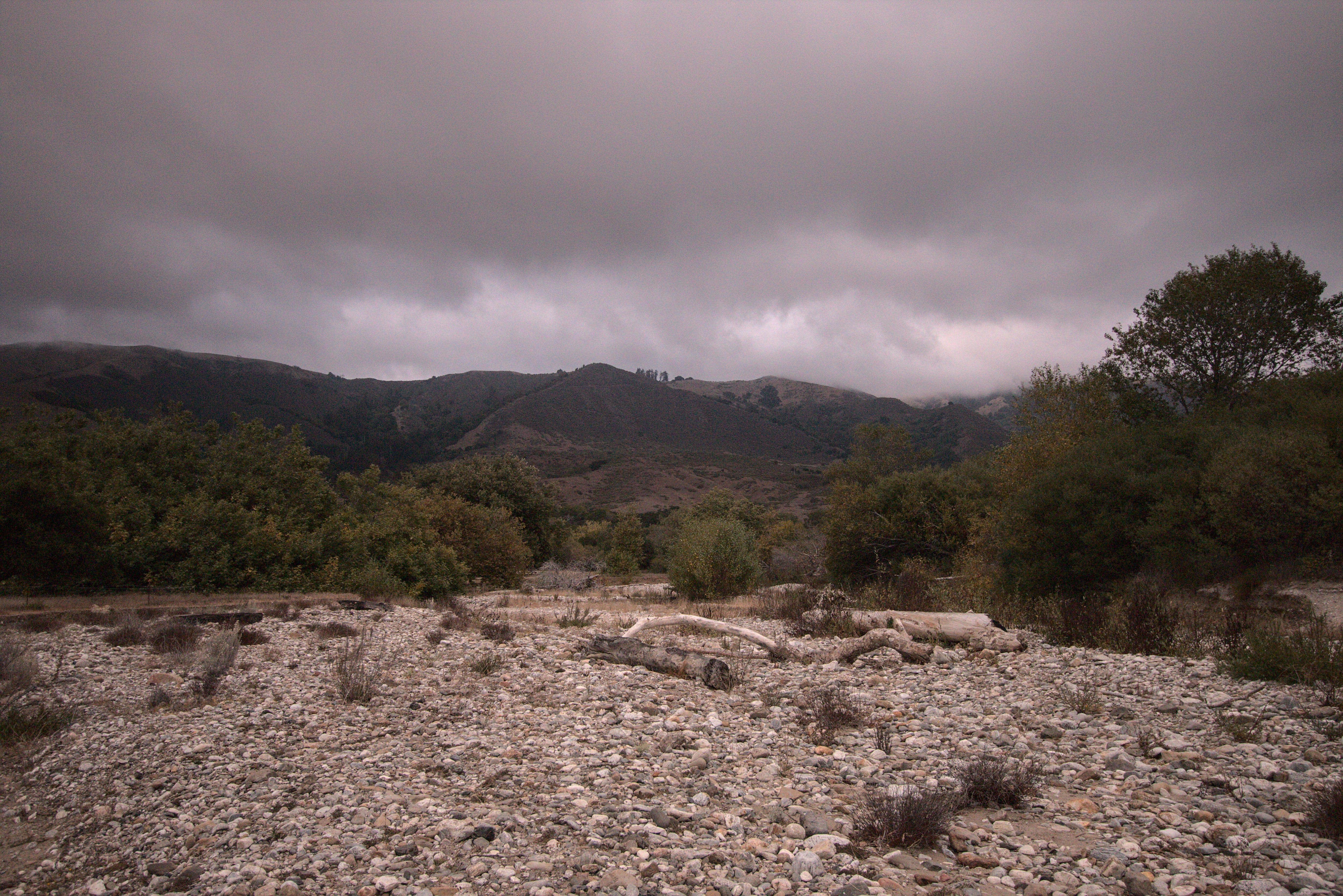 Andrew molera trail clearance camp