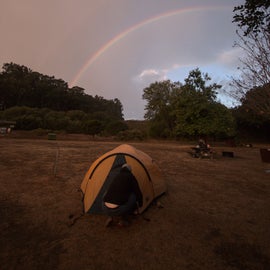 Rained all night and a morning rainbow!