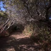 Review photo of Andrew Molera State Park Trail Camp by sasha N., November 5, 2021