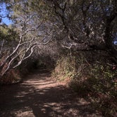Review photo of Andrew Molera State Park Campground by sasha N., November 5, 2021