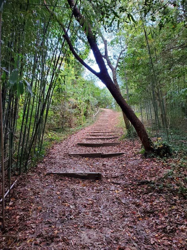 Matoaka Beach Cottages Camping The Dyrt