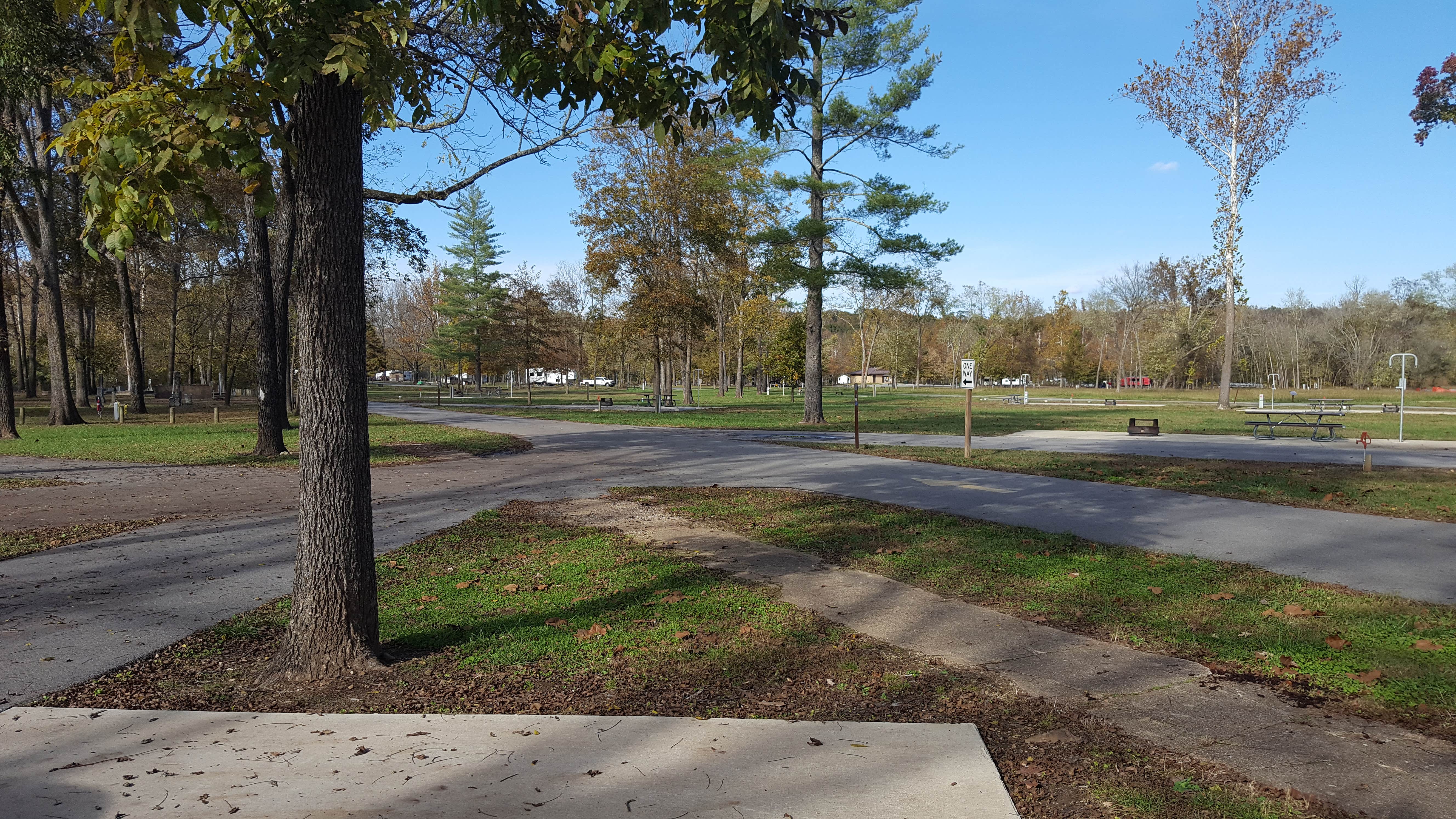 Camper submitted image from Greenville - Lake Wappapello - 3