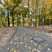 Review photo of Patoka Lake Campground by Myndi C., November 5, 2021