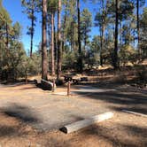 Review photo of White Spar Campground by David N., November 5, 2021