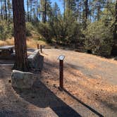 Review photo of White Spar Campground by David N., November 5, 2021