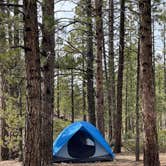 Review photo of Sunset Campground — Bryce Canyon National Park by LoneCamper C., November 3, 2021