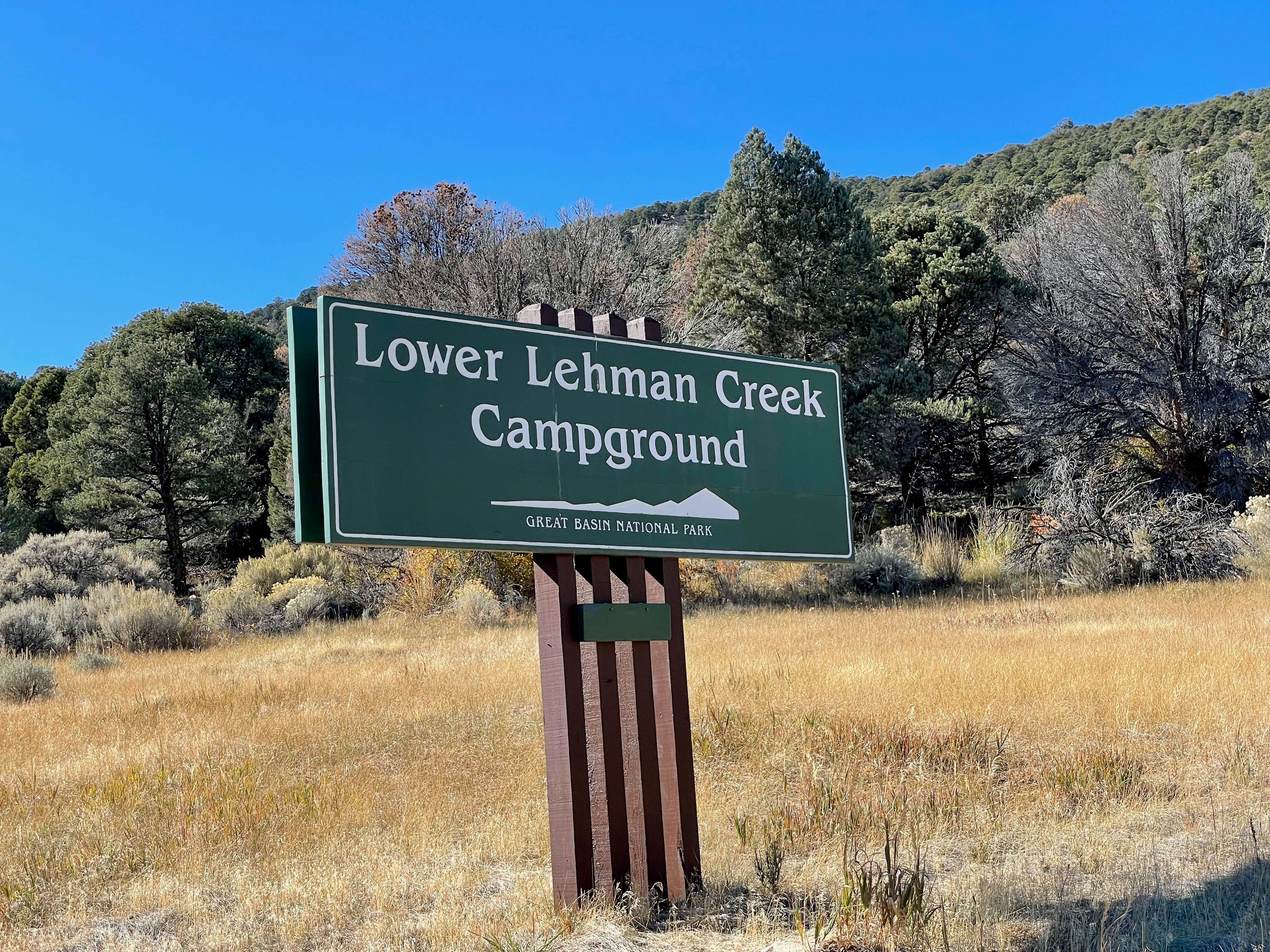 Signs & Maps