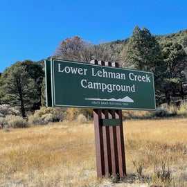 Lower Lehman campground- Great Basin