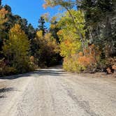 Review photo of Baker Creek Campground — Great Basin National Park by LoneCamper C., November 5, 2021