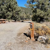 Review photo of Baker Creek Campground — Great Basin National Park by LoneCamper C., November 5, 2021
