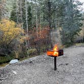 Review photo of Upper Lehman Creek Campground — Great Basin National Park by LoneCamper C., November 5, 2021