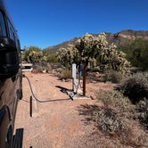 Review photo of Usery Mountain Regional Park by Holly E., November 5, 2021