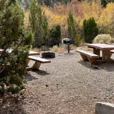 Review photo of Squirrel Springs Campsites — Great Basin National Park by LoneCamper C., November 5, 2021