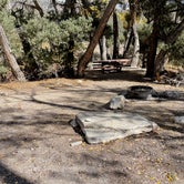 Review photo of Squirrel Springs Campsites — Great Basin National Park by LoneCamper C., November 5, 2021