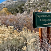 Review photo of Squirrel Springs Campsites — Great Basin National Park by LoneCamper C., November 5, 2021